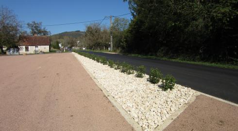 Création Parterre