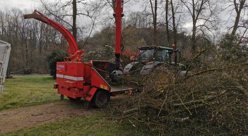 Broyage de branches 