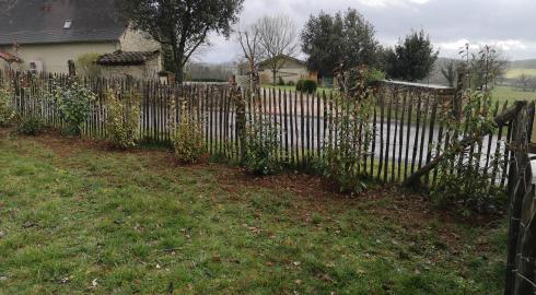 Plantation d'une haie variée persistante 