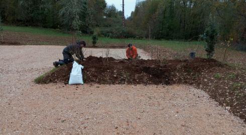 Plantation d'arbustes adapté au terrain calcaire